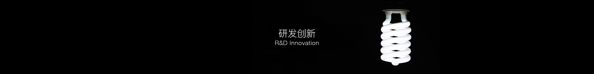 First slide